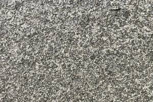 Palisaden -10x25cm- GALA EXACTA NEW -geflammt- Granit 10x25x175cm anthrazit