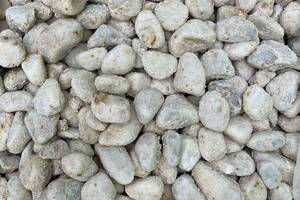 Kies CARRARA Marmor 25-40mm weiß