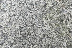 Palisaden -10x25cm- GALA EXACTA PRO -geflammt- Granit 10x25x250cm anthrazit