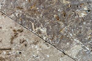 Terrassenplatten NOCE TOROSA® -antik- Travertin 59,7x39,7x3cm  hellbraun