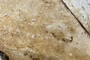 Kastellmauersteine DORATO Travertin 15x18x30-60cm gold-gelb-beige