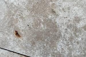 Terrassenplatten TOLEDO -antik- Travertin 19,7x39,7x3cm braun-beige